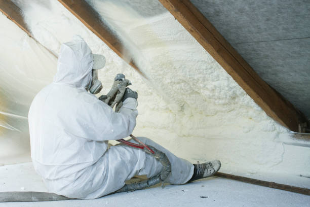 Best Radiant Barrier Insulation  in Whitesboro, TX